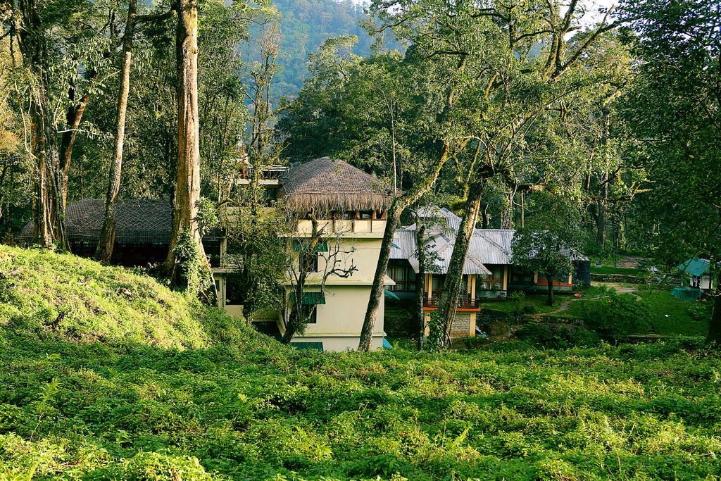 深林度假村 蒙纳 客房 照片